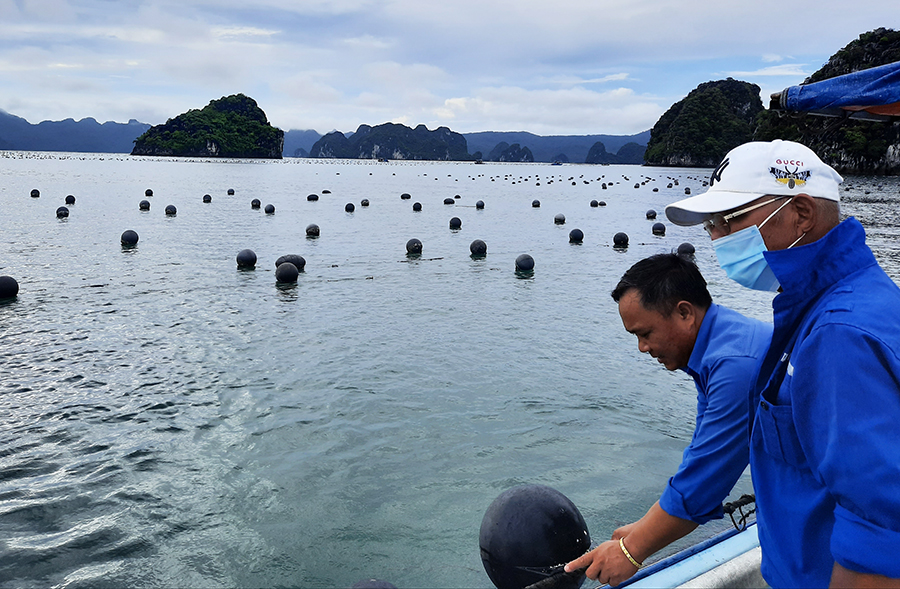 Đồng[-]h&agrave;nh[-]c&ugrave;ng[-]ngư[-]d&acirc;n[-]ph&aacute;t[-]triển[-]nghề[-]bền[-]vững[-]tại[-]Quảng[-]Ninh